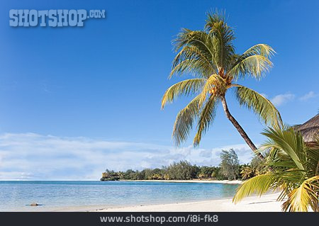 
                Mauritius, Grande Baie                   