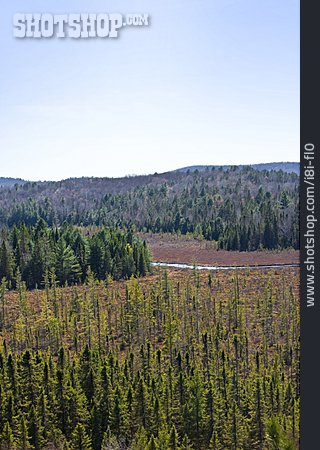 
                Wildnis, Kanada, National Park                   