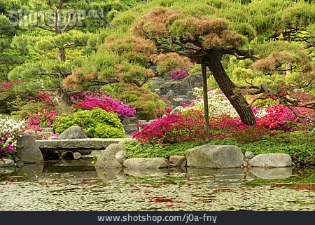 
                Park, Japanischer Garten                   
