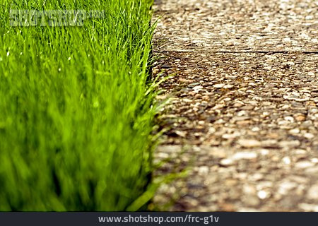 
                Gras, Steinplatte, Waschbeton, Betonplatte, Gehwegplatten                   