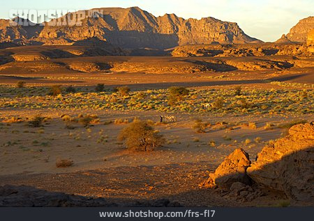 
                Wüste, Libyen, Akakus                   
