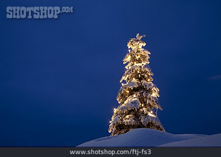 
                Christmas, Christmas Tree, Christmas                   