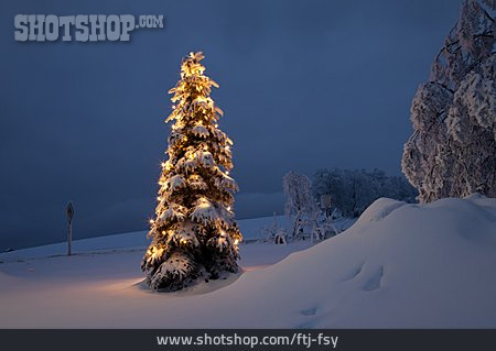 
                Christmas, Christmas Tree, Christmas Lights                   