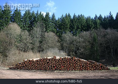 
                Holzwirtschaft, Baumstämme, Holzindustrie                   