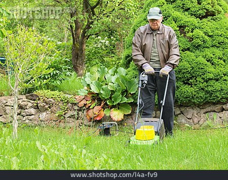 
                Senior, Gartenarbeit, Rasenmähen                   