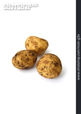 
                Kartoffel, Speisekartoffel                   