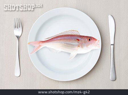 
                Fisch, Roh                   
