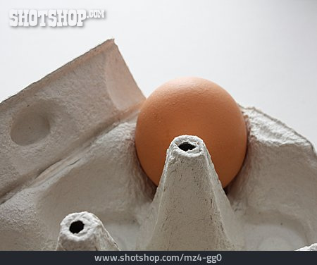
                Ei, Eierkarton, Eierverpackung                   