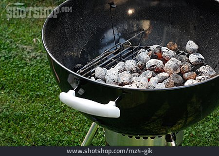 
                Grill, Holzkohlegrill                   