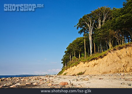 
                Ostseeküste, Naturstrand                   