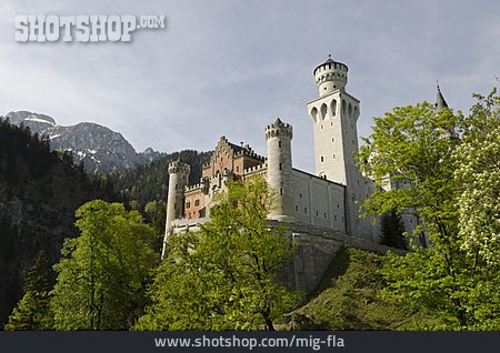 
                Schloss Neuschwanstein                   