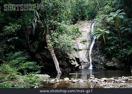 
                Wasserfall, Regenwald                   