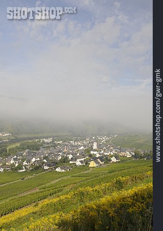 
                Nebel, Enkirch                   
