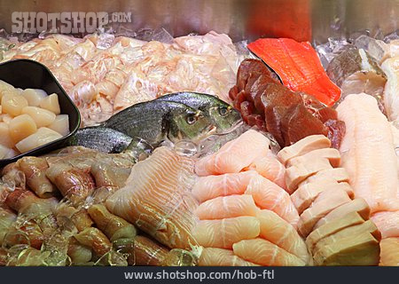 
                Prepared Fish, Fish Shop, Fish Counter                   