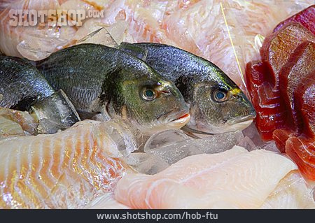 
                Fisch, Goldbrasse                   