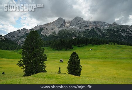 
                Dolomiten, Plätzwiese, Naturpark Fanes-senes-prags                   