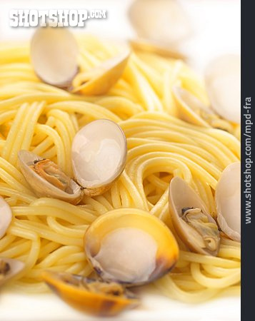 
                Muschel, Spaghetti                   