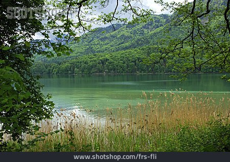 
                Bergsee, Fuschlsee                   
