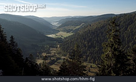 
                Schwarzwald, Tal, Mittelgebirge                   