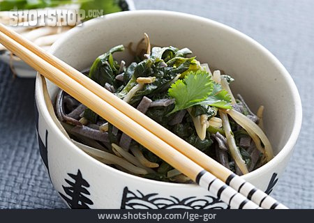 
                Asiatische Küche, Suppe, Reisnudelsuppe                   