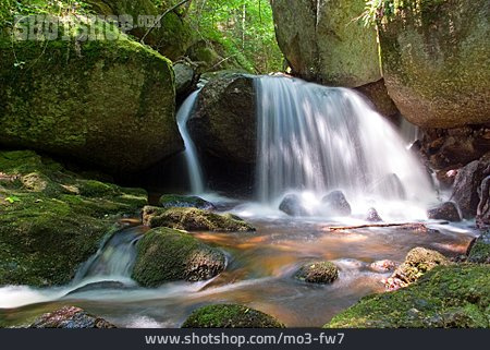 
                Wasserfall, Wildbach, österreich, Ysperklamm                   