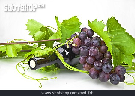 
                Weinblatt, Weinflasche, Rote Weintraube                   