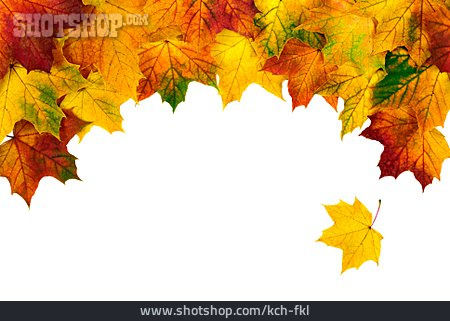 
                Herbstlaub, Ahornblatt, Herbstblätter                   