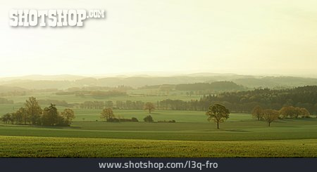 
                Landschaft, Vogtland, Frühnebel                   