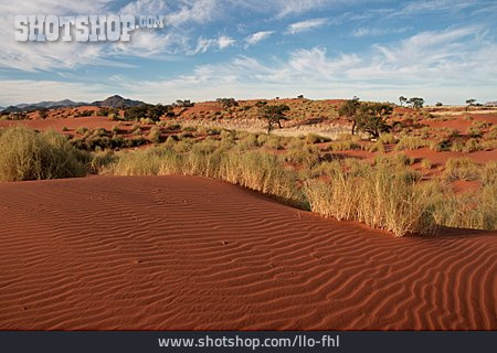 
                Wüste, Namibia, Namibrand                   