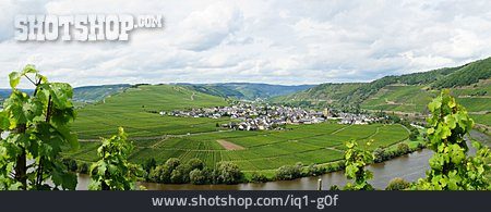 
                Weinanbaugebiet, Trittenheim                   