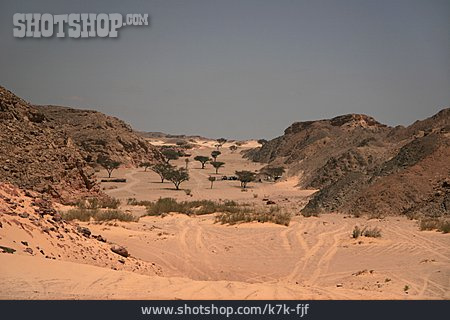 
                Wüstenlandschaft, Sinai                   
