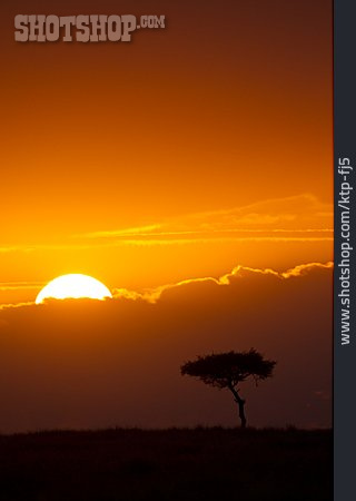 
                Landschaft, Sonnenuntergang, Afrika                   