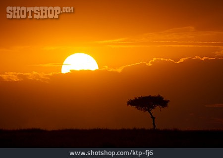 
                Sonnenuntergang, Afrika                   