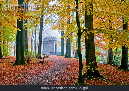 
                Herbstwald, Laubwald, Buchenwald                   
