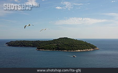 
                Insel, Dubrovnik, Lokrum                   