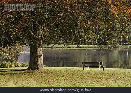 
                Park, Herbst, Teich, Parkbank                   