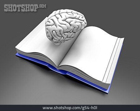 
                Bildung, Buch, Wissen, Gehirn                   
