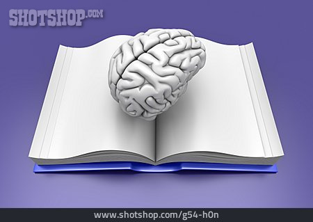 
                Bildung, Buch, Wissen, Gehirn                   