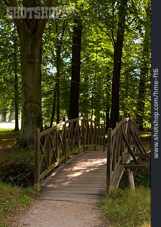 
                Wald, Waldweg, Holzbrücke                   