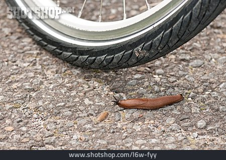 
                Fahrrad, Reifen, Nacktschnecke                   