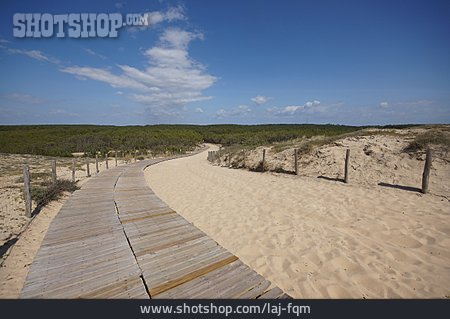 
                Sand, Holzsteg, Küstenschutz                   