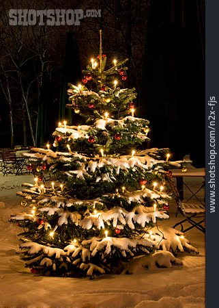 
                Weihnachten, Lichterkette, Weihnachtsbaum                   