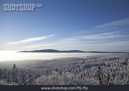 
                Nebel, Verschneit, Nadelwald, Fichtelgebirge                   