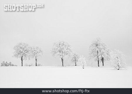 
                Winter Landscape                   