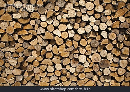 
                Holzwirtschaft, Brennholz, Feuerholz                   