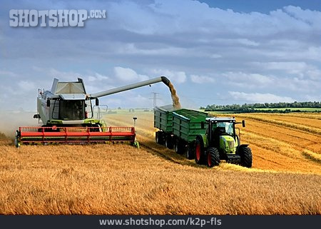 
                Landwirtschaft, Ernte, Getreideernte                   