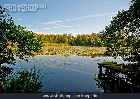 
                Steg, Waldsee, Egelsee                   