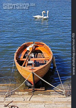 
                Ruderboot, Holzboot, Schwanenpaar                   