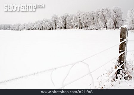 
                Winter, Zaun, Brandenburg                   