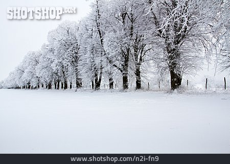 
                Winter, Brandenburg                   